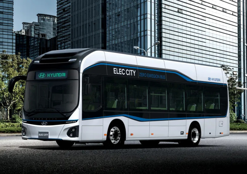 Bus