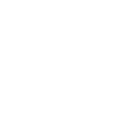 service network